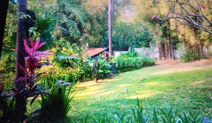 Rare Opportunity! 10.2 Are Land For Lease In Pererenan Sempol, Canggu. Strategic Location, 30 Years Lease, Ready For Development