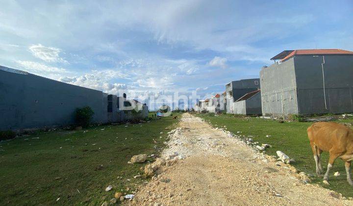 TANAH  KAVLING PLOT KECIL STRATEGIS COCOK INVESTASI& HUNIAN JALAN MEKAR  PEDUNGAN DENPASAR BALI 1