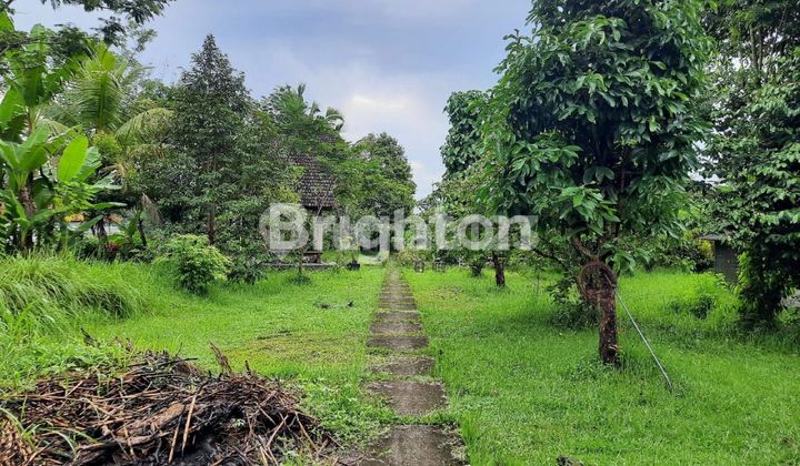 LAND 2850 M TABANAN PENEBEL BALI STRATEGIC LOCATION NEAR TOURIST DESTINATION TABANAN BEDUGUL LAND 2850 M TABANAN PENEBEL BALI STRATEGIC LOCATION NEAR TOURIST DESTINATION TABANAN BEDUGUL