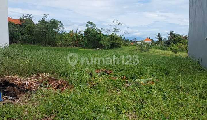Prime Leasehold Land 473M & 1500M In Pantai Lima Canggu Bali- Ideal For Luxury Villa Or Commercial Development