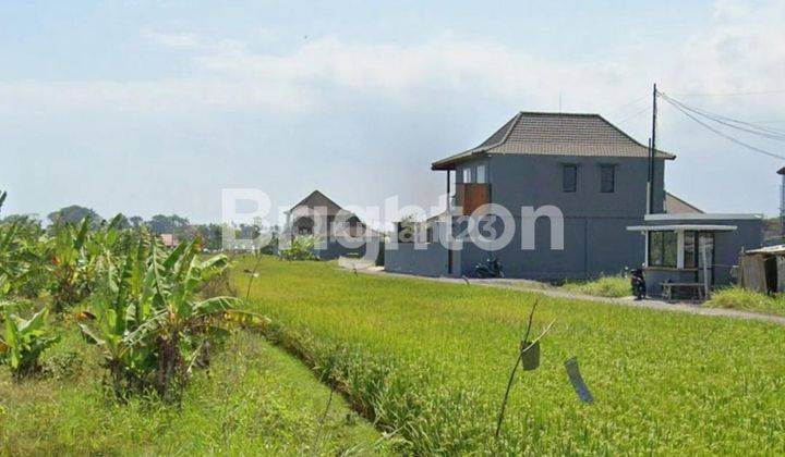 "Prestigious 4-Are Land on Pantai Lima CANGGU – Perfect For Cafe, Boutique Ventures or Fine Dining" RESTO 1