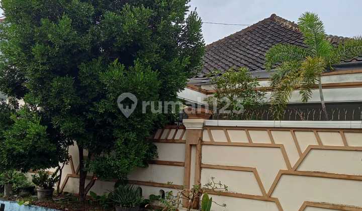 Rumah Besar - Hitung Tanah 498 Meter, Lokasi Premium Imam Bonjol Denpasar 