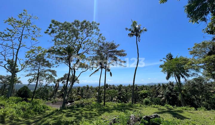 Prime Land 159 Are For Villa & Resort Development - Karangasem Bali