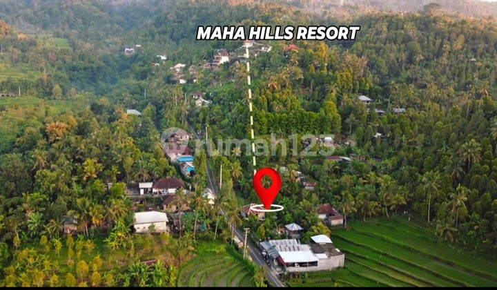 Tanah Eksklusif View Alam di Sambangan Buleleng Bali Utara Zona Kuning Dikelilingin Villa dan Hotel Harga Masih 800 Jutaan! Tanah Eksklusif View Alam di Sambangan Buleleng Bali Utara Zona Kuning Dikelilingin Villa dan Hotel Harga Masih 800 Jutaan!