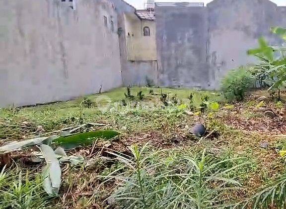 Dijual Kavling 200m View Taman Di Perum. Tanjung Mas Raya, Jagakarsa, Lokasi Strategis Banget Dekat Aeon Mall Tanjung Barat, Cocok Untuk Hunian, Guest House Maupun Investasi