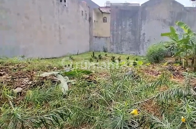 Dijual Kavling 200m View Taman Di Perum. Tanjung Mas Raya, Jagakarsa, Lokasi Strategis Banget Dekat Aeon Mall Tanjung Barat, Cocok Untuk Hunian, Guest House Maupun Investasi