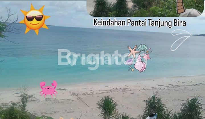 Tanah View Pantai Di Tanjung Bira Bulukumba Sulawesi Selatan