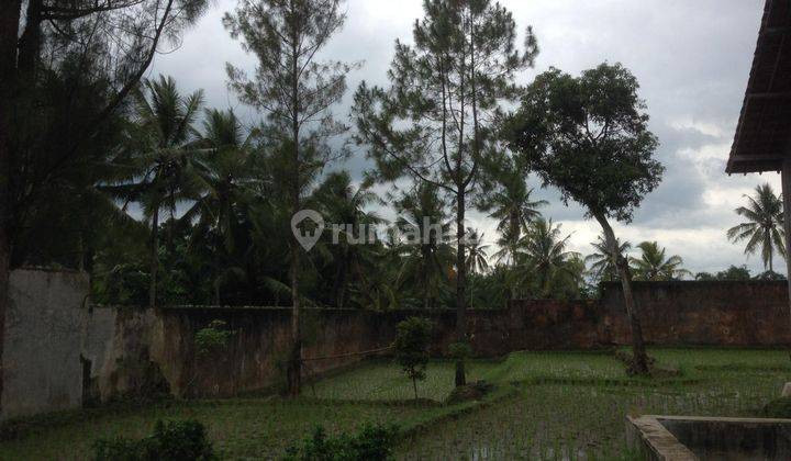 Gudang Murah Di Suren Jember 3