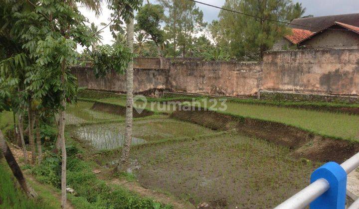 Gudang Murah Di Suren Jember 2