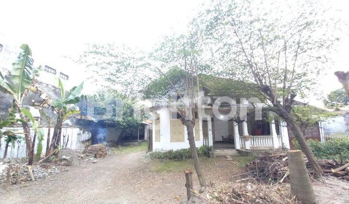 RUMAH INTERIOR CLASSIC BANGUNAN PREMIUM TULUNGAGUNG KOTA 5
