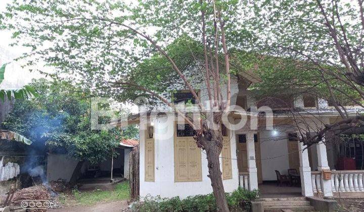 RUMAH INTERIOR CLASSIC BANGUNAN PREMIUM TULUNGAGUNG KOTA 7