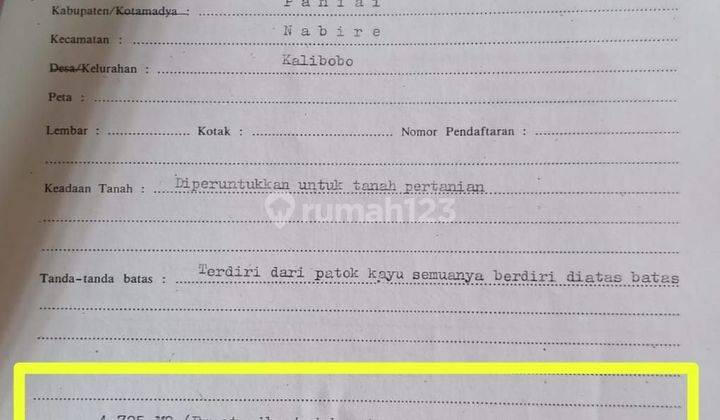 Tanah Murah Di Kalibobo Nabire Papua Tengah 2