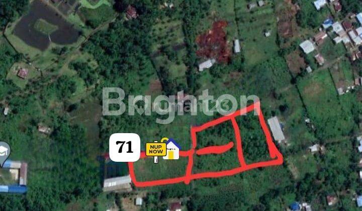 Tanah Murah Di Kalibobo Nabire Papua Tengah 1
