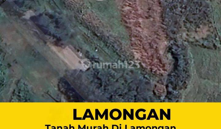 Tanah Sewa Di Lamongan 2