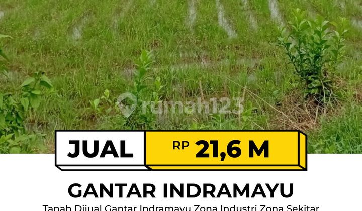 Tanah Strategis di Gantar Indramayu