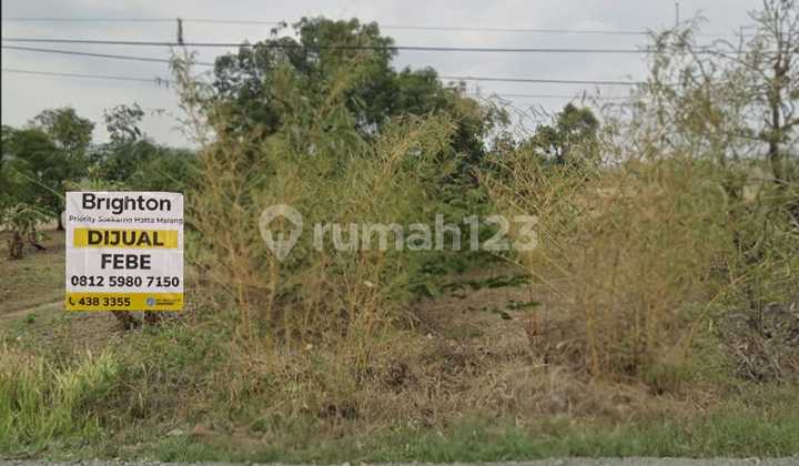 Land in Trisi Cikawung Indramayu Land in Trisi Cikawung Indramayu