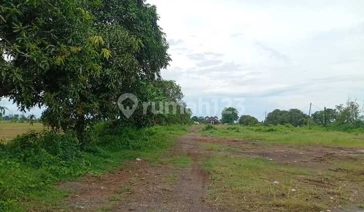 Tanah Industri di Patrol Indramayu