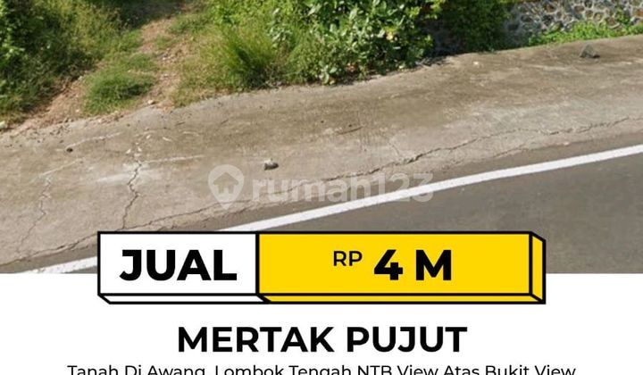 Tanah Murah di Awang Lombok Tengah Nusa Tenggara Barat Tanah Murah di Awang Lombok Tengah Nusa Tenggara Barat