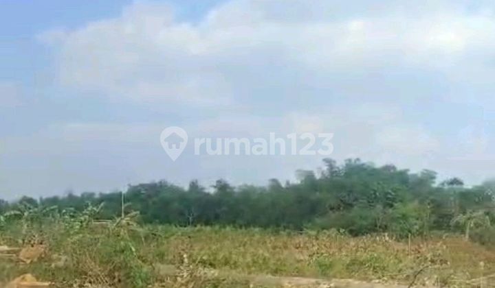 Tanah Strategis di Haurgelis Indramayu