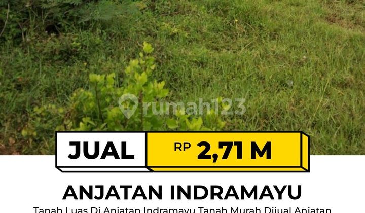 Tanah Murah Di Anjatan Indramayu