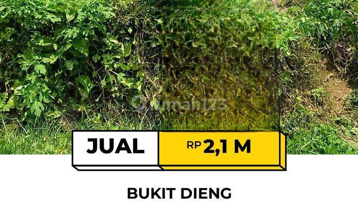 Tanah Di Bukit Dieng MALANG 1