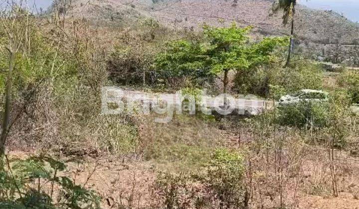 Tanah Murah Di Awang Lombok Tengah  Nusa Tenggara Barat 1