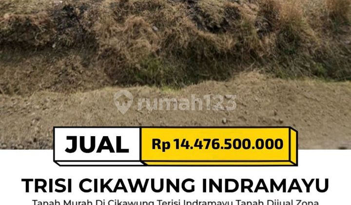 Land in Trisi Cikawung Indramayu