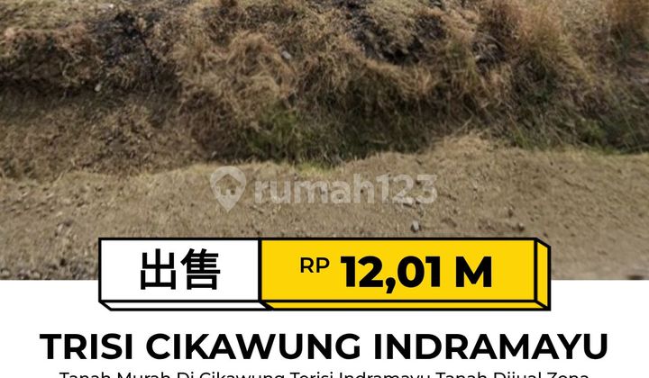 Cheap Land in Trisi Indramayu