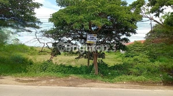 Tanah Industri di Losarang Indramayu Tanah Industri di Losarang Indramayu