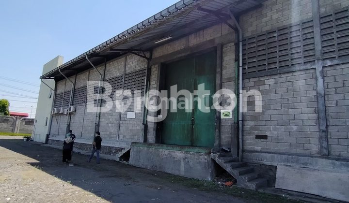 Gudang Murah Di Mojokerto Gudang Murah Di Mojokerto