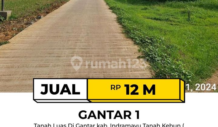 Tanah di Gantar Indramayu