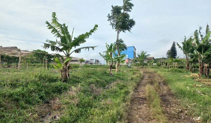 Dijual Tanah Kebun Cocok Utk Perumahan Dekat Kantor Pemkab Kbb 1