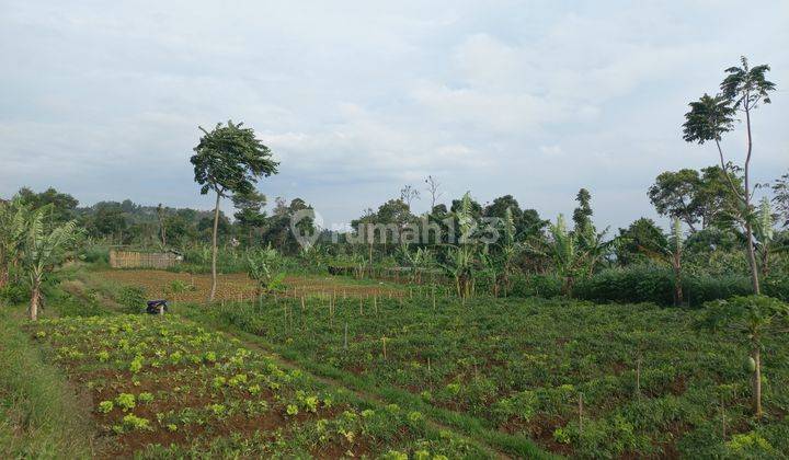 Dijual Tanah Kebun Cocok Utk Perumahan Dekat Kantor Pemkab Kbb 6