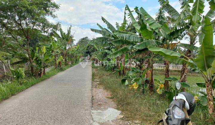 Strategis Tanah Sawah Dekat Komplek Perumahan Rancasari Bandung 1