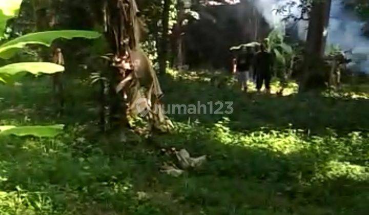 Dijual Cepat Tanah Darat Strategis Utk Perumahan Di Cicendo  4