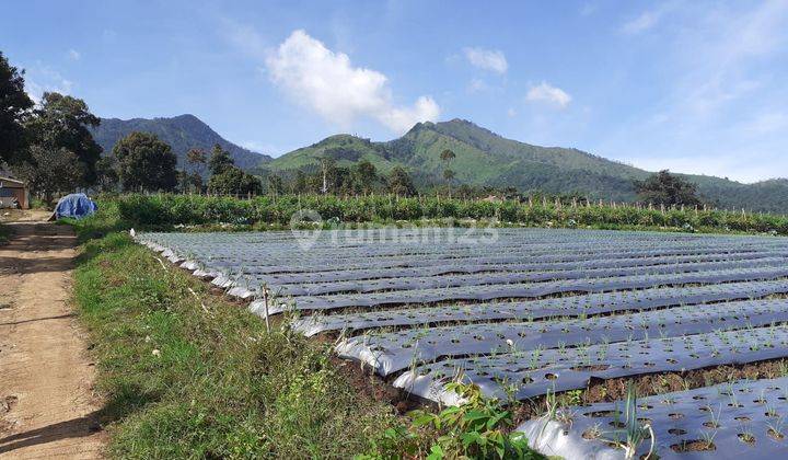 DIJUAL TANAH KEBUN STRATEGIS UTK PERUMAHAN DI ARJASARI BANDUNG 2