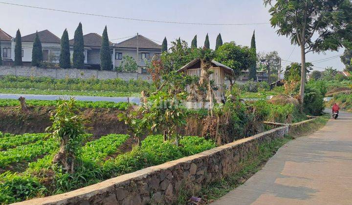 DIJUAL TANAH KAVLING VIEW INDAH SIAP BANGUN DI CIGUGUR GIRANG 1