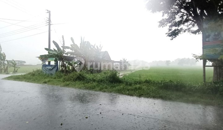 Lahan Sawah Murah Dekat Akses Jalan Raya Lahan Sawah Murah Dekat Akses Jalan Raya