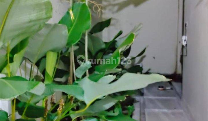 Rumah Cantik Dekat Kampus Dan RS Bonus Kolam Renang Anak 2