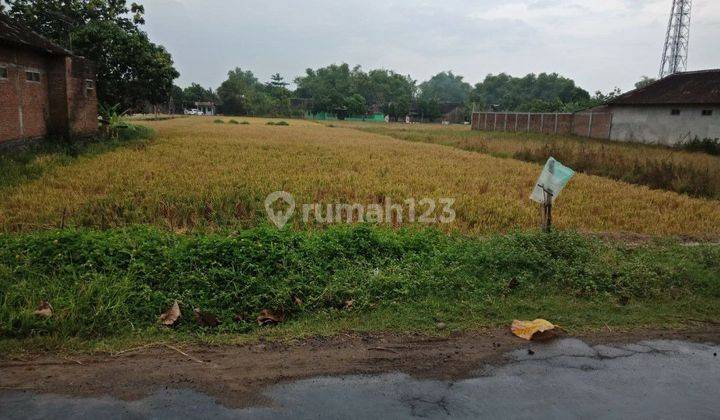 Tanah Sawah Zona Ungu Bisa Kering Juwiring Klaten 6