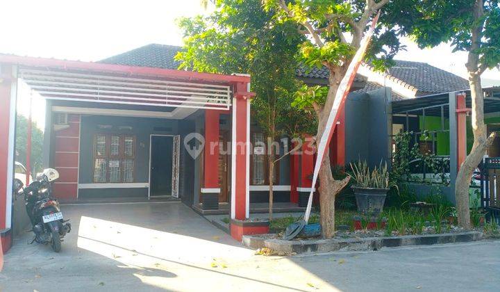Kontrakan Rumah Cluster full Furnished ada Mini Pool 1