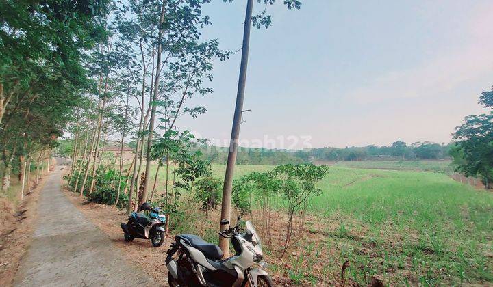 Tanah Tegalan / Perkebunan Dekat Wusata Sendang Songo 2