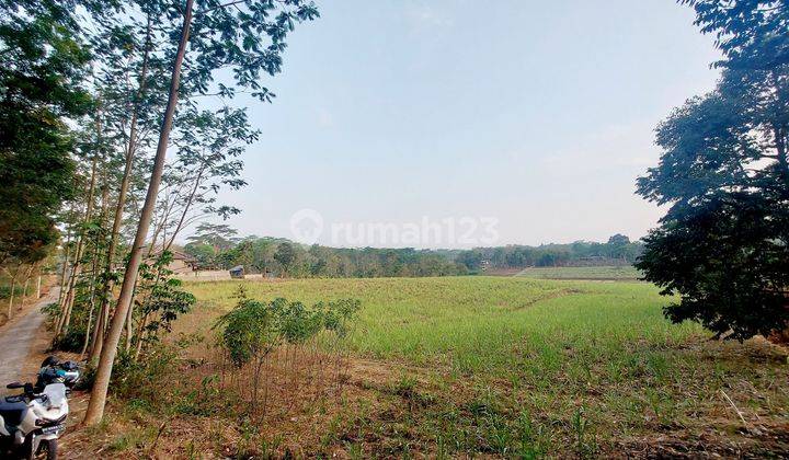 Tanah Tegalan / Perkebunan Dekat Wusata Sendang Songo