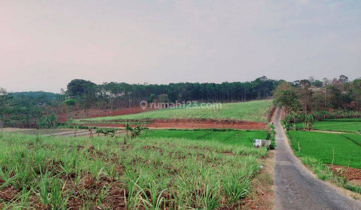 Tanah Tegalan / Perkebunan Dekat Wusata Sendang Songo 1