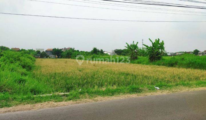 Tanah Strategis Dekat Jalan Adi Sucipto Cocok Untuk Perumahan 2