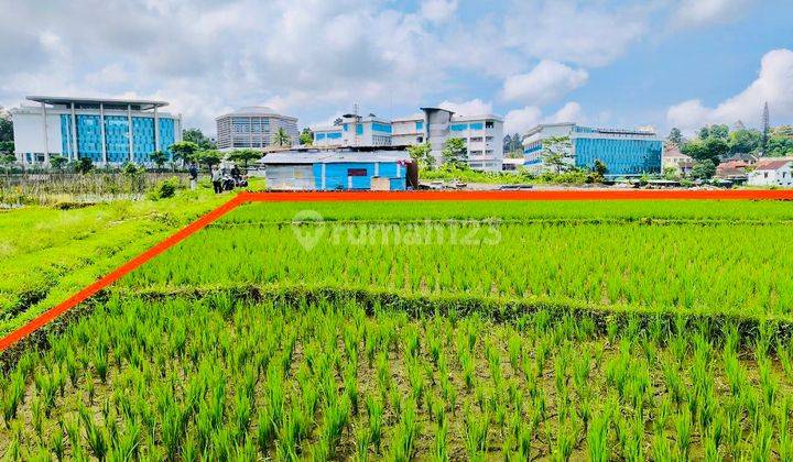 Tanah Sawah Sejajar Dgn International Boarding School Al Azhar 2