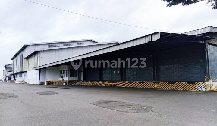 Active Rice Mill Capacity 800 Tons Supported By Food Self-Sufficiency