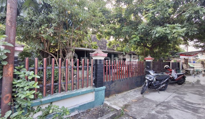 Rumah Jadul Kota Solo Halaman Luas Hitung Tanah 2