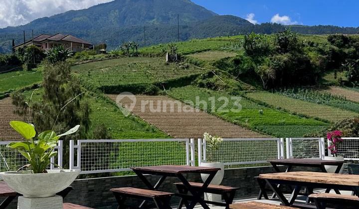 Villa Puls Strategic Business Space Near G. Lawu Tourist Attraction View