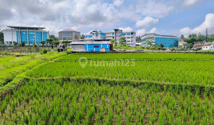 Tanah Sawah Sejajar Dgn International Boarding School Al Azhar 1